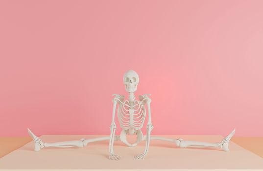 A human skeleton model does a split against a pink backdrop, showcasing flexibility.