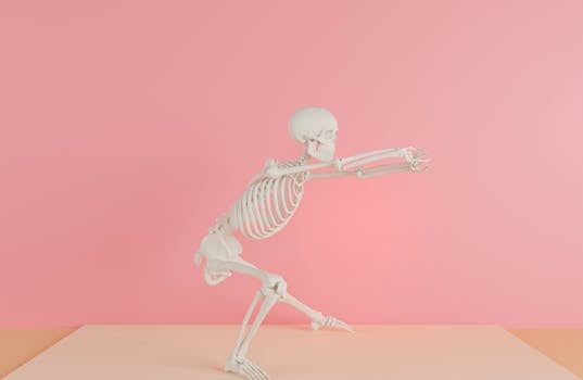 A human skeleton model posed creatively against a pink backdrop.