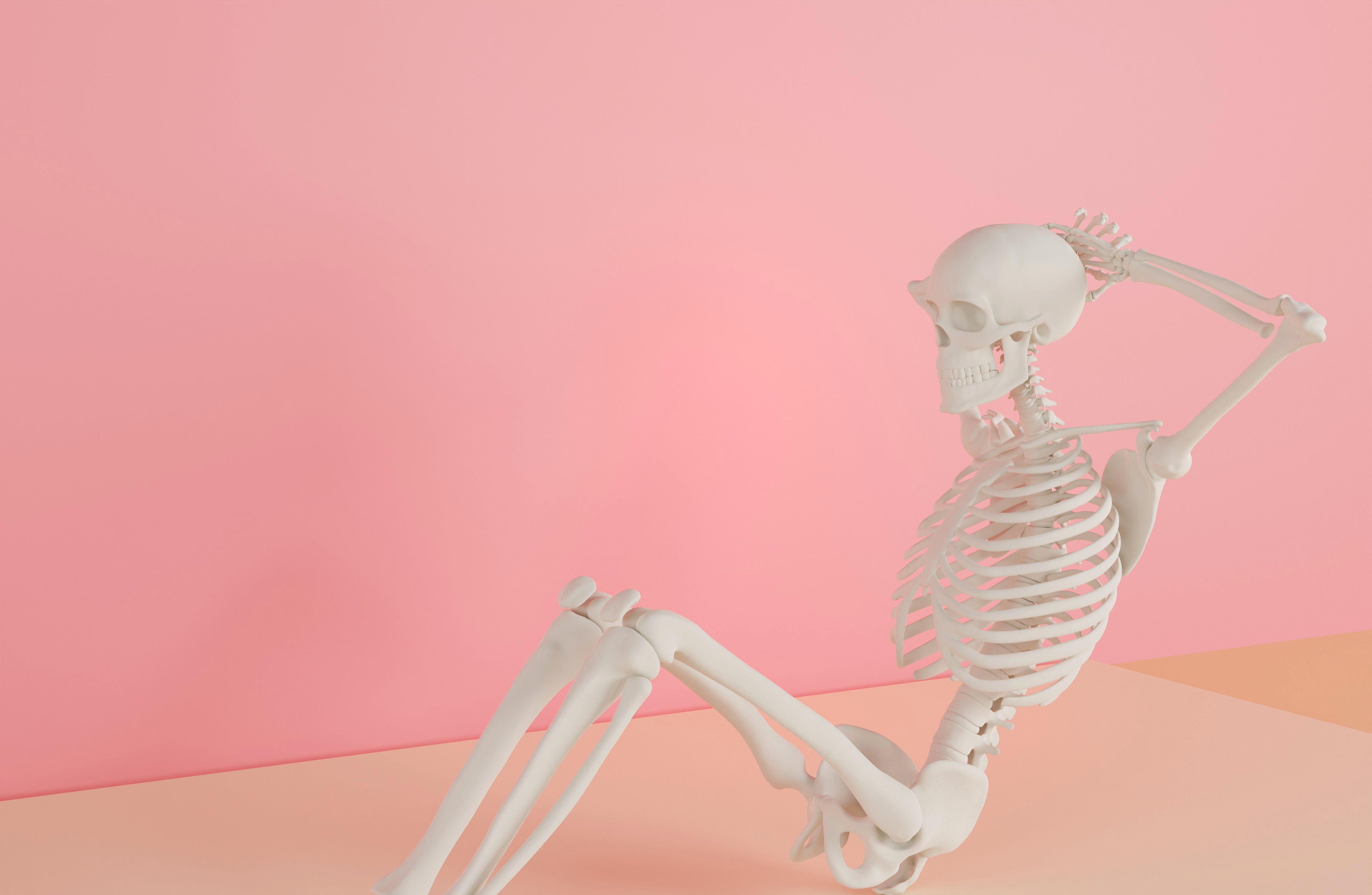 Skeleton and health photos download the best free skeleton and health