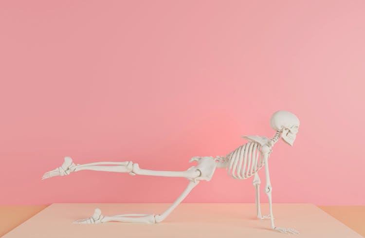 Human Skeleton Exercising In Pink Studio