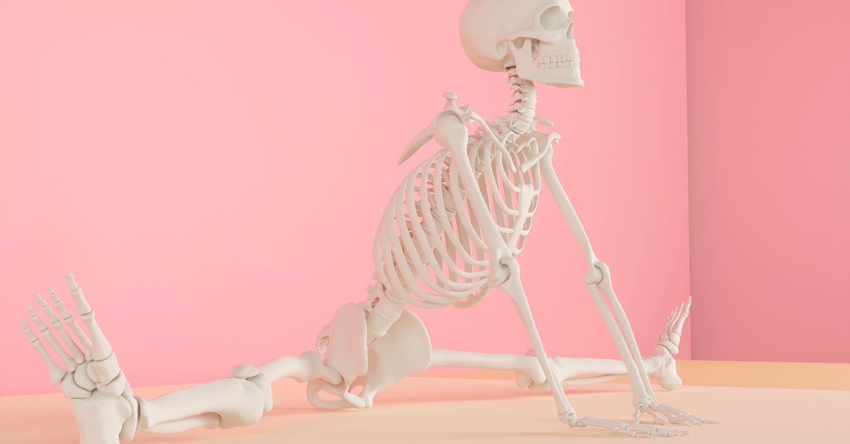 A skeleton model stretching in a pink studio setting, emphasizing anatomy and flexibility. - Evidence evidence guide for glucosamine cartilage health meta-analysis