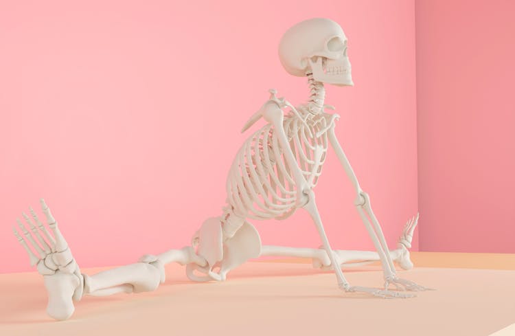 Human Skeleton Stretching In Pink Studio