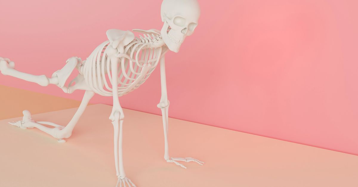 Bone Density Research Offers Fresh Insight Into How Early Humans Lived