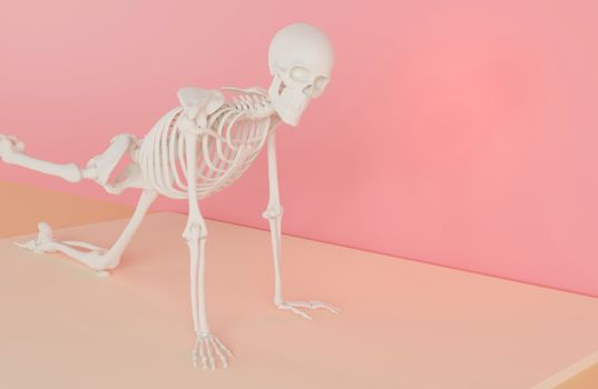 A human skeleton model striking a yoga pose on a pastel pink backdrop in a studio.