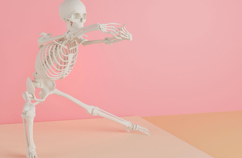 calcium absorption bones cardiovascular system illustration