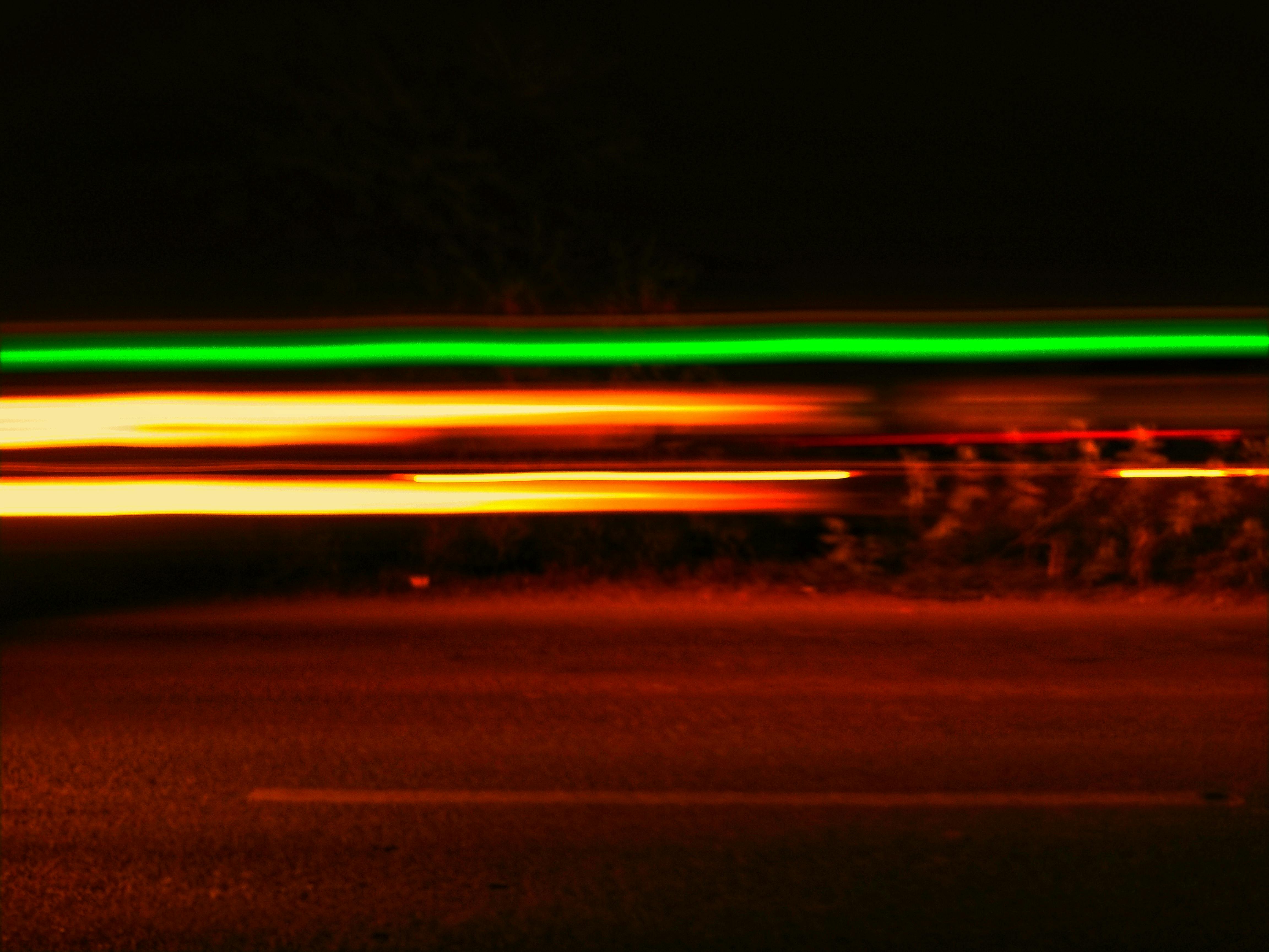 Free stock photo of alone, beautiful flowers, black background