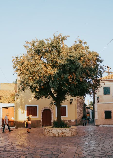 Sunlit traditional Greek architecture and tree in Krini village square, perfect for tourism and travel imagery.