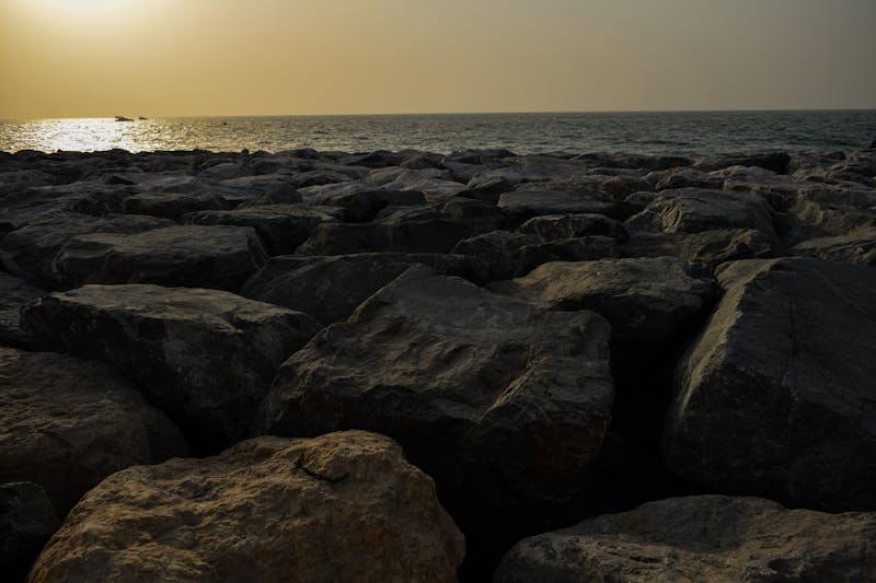 فرحة الألوان