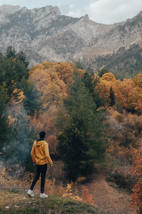 Gratis stockfoto met berg, bladeren, herfst