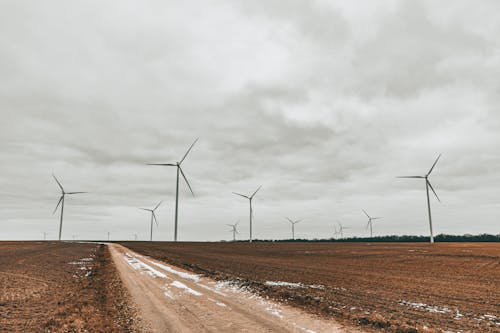 Windmills in Field in Countryside