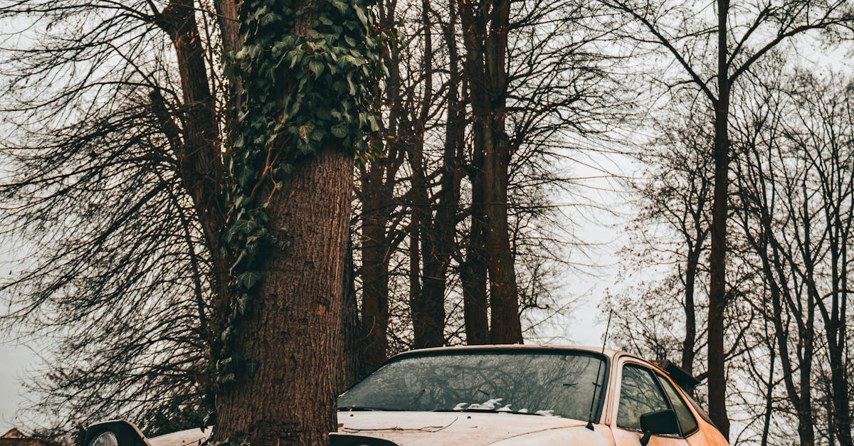 Profesyonel Araç Stüdyo Fotoğrafları