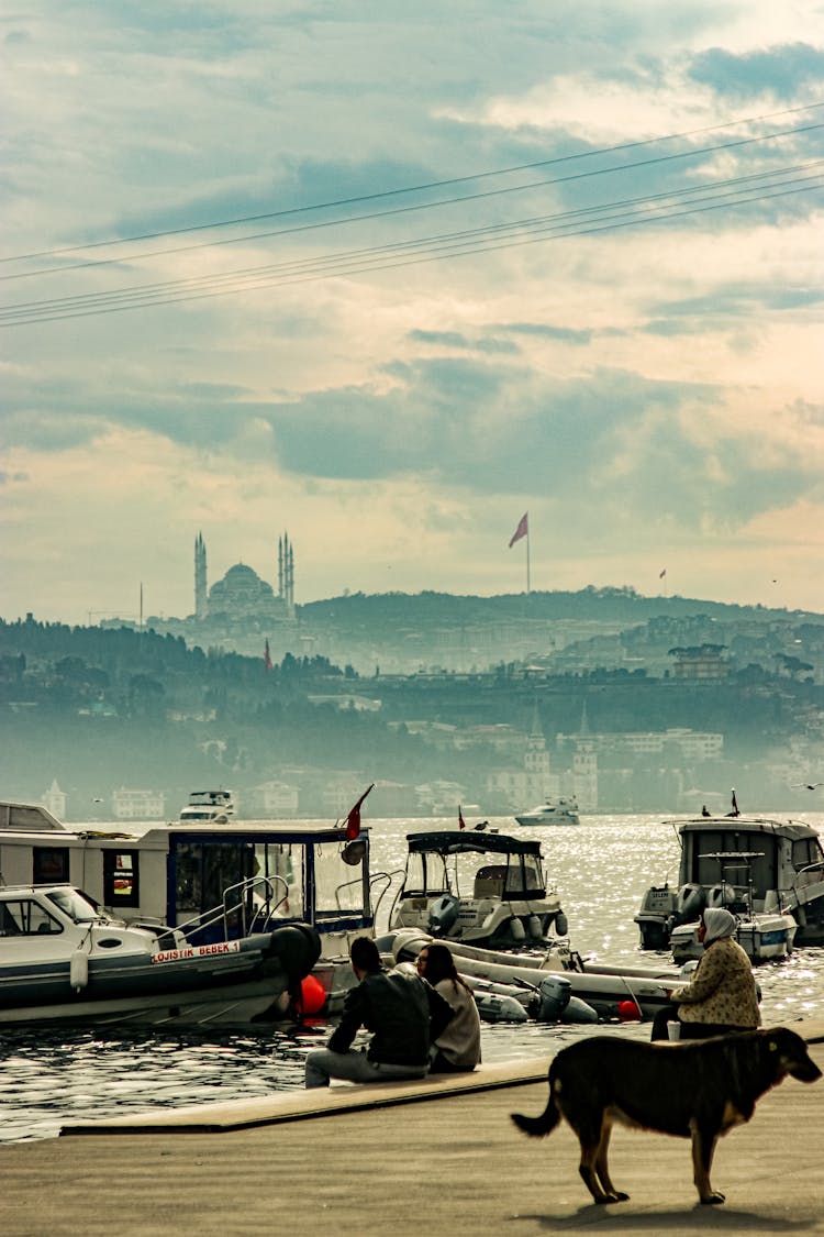 Boats Moored In Harbor