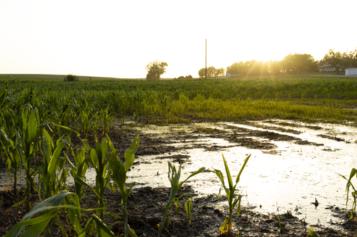 Free Corfield sunset after the storm Stock Photo