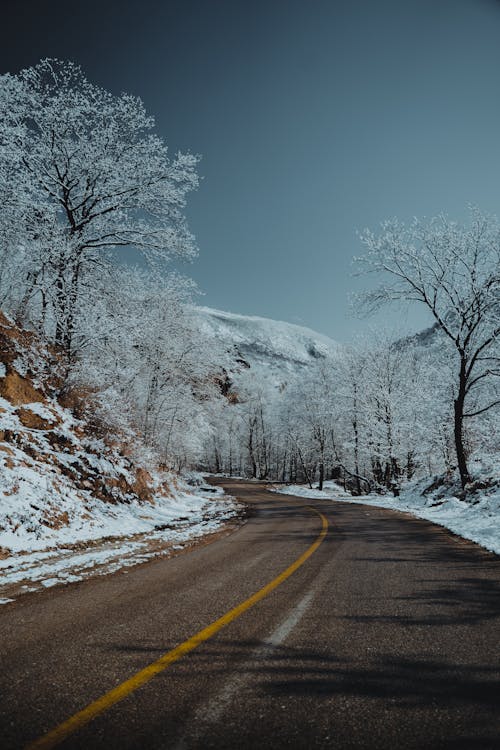 Road, Trees and Hill on Winter Day 