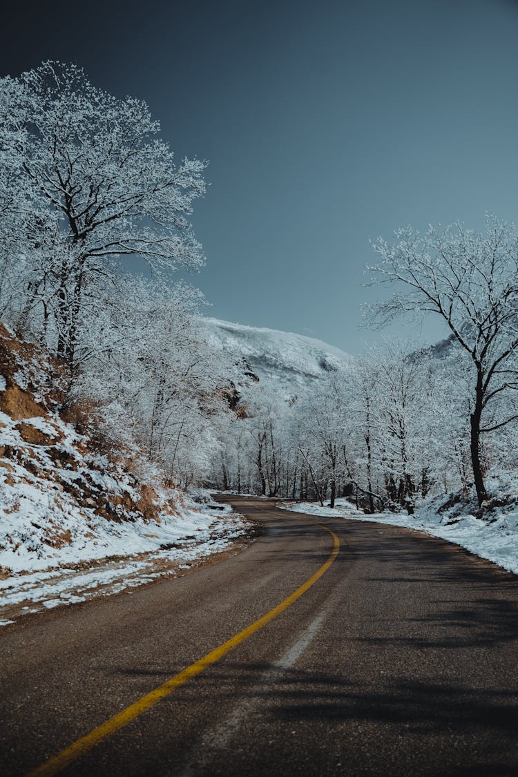 Road, Trees And Hill On Winter Day 