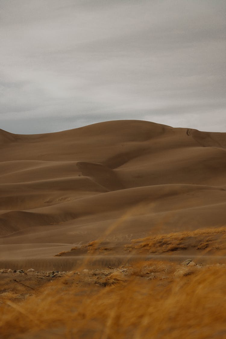 Dune On A Desert