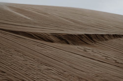Základová fotografie zdarma na téma duna, neúrodná, písek