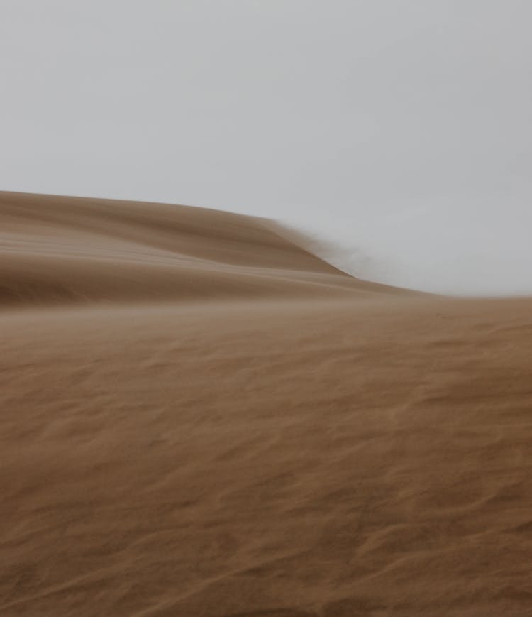 Sand Dune In Colorado