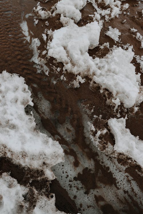 Gratis stockfoto met aarde, bevroren, detailopname
