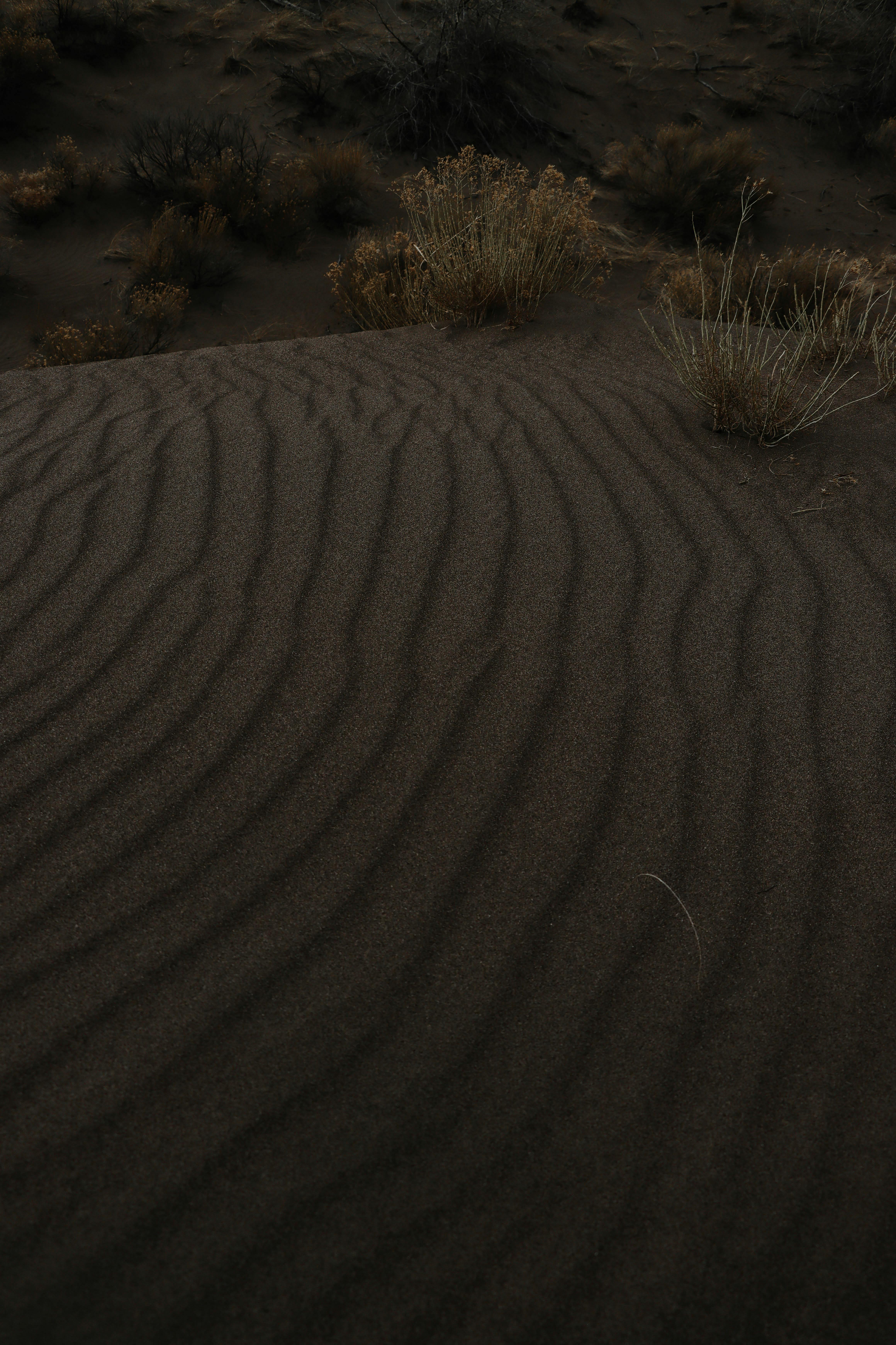 sand on desert in colorado usa