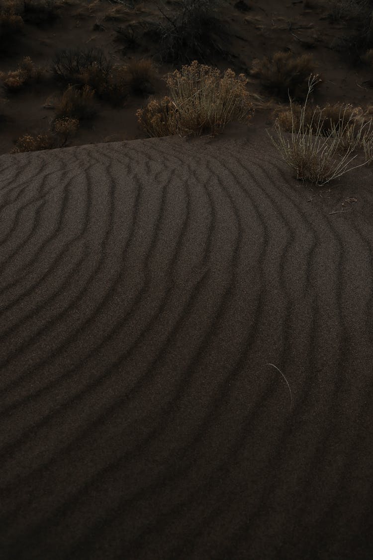 Sand On Desert In Colorado, USA