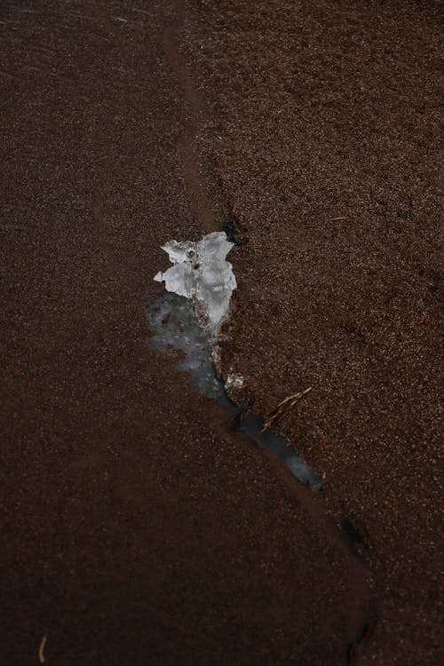 Ice on Barren Ground
