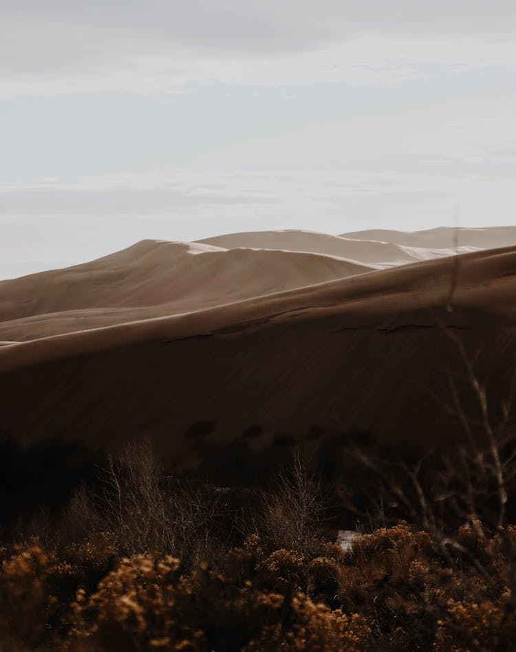 Great Sand Dunes In Colorado