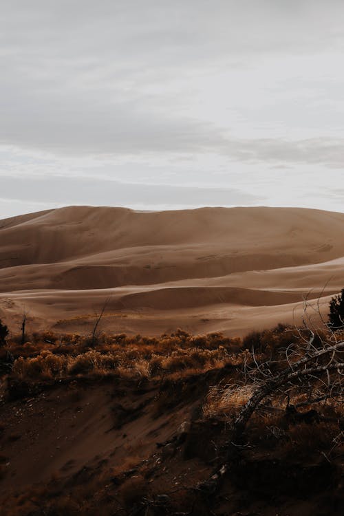 Immagine gratuita di calore, colline, deserto