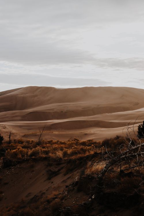 Free Breathtaking view of vast sand dunes under a cloudy sky in a serene desert setting. Stock Photo