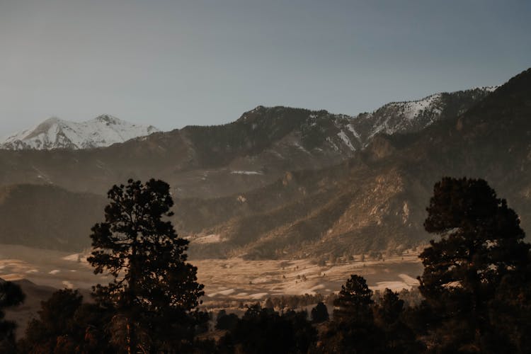 Trees And Hills Behind