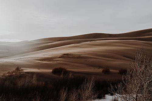 Free Captivating view of sand dunes and sparse vegetation under a subtle sunset sky. Stock Photo