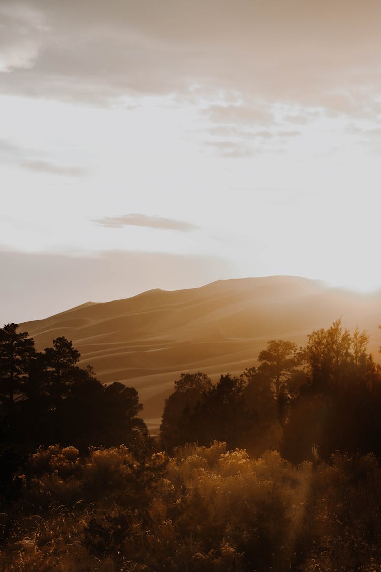 Bushes, Trees And Hills In Countryside At Sunset