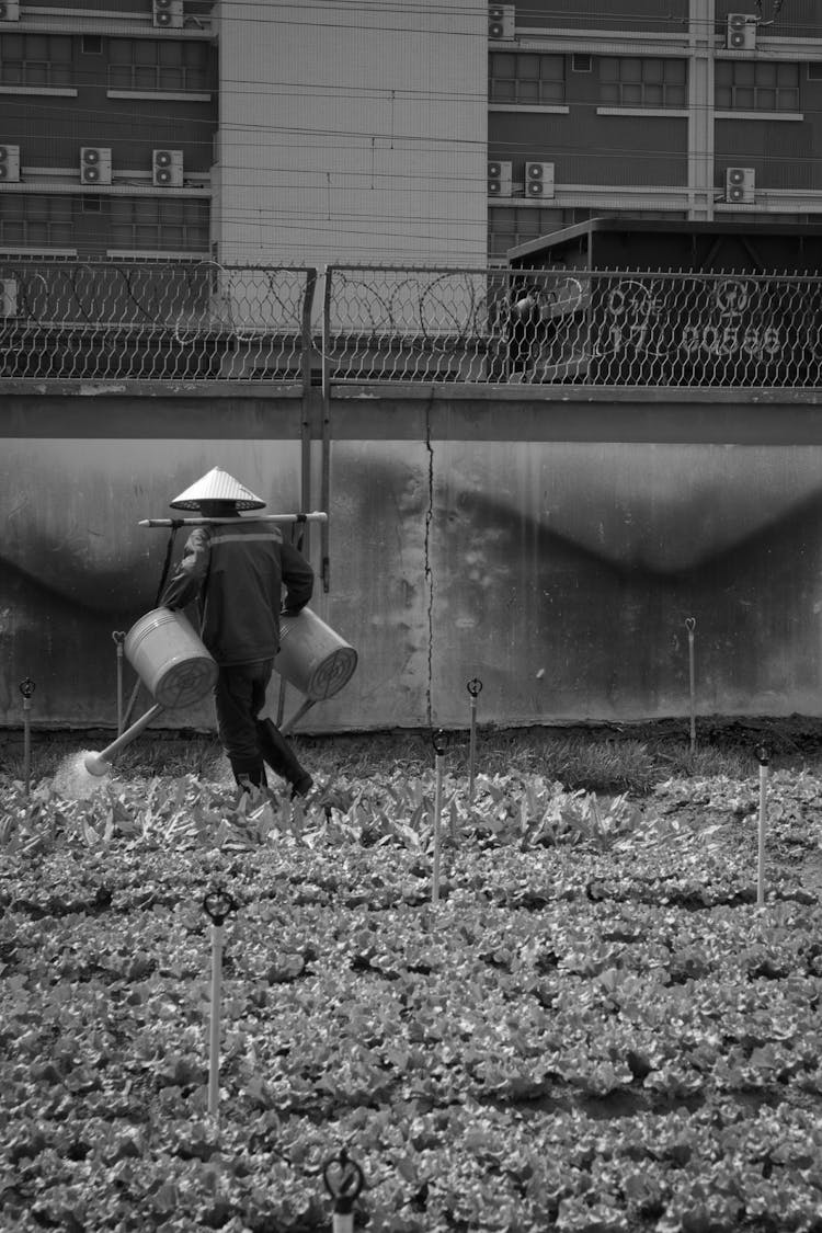 Man Watering Plants