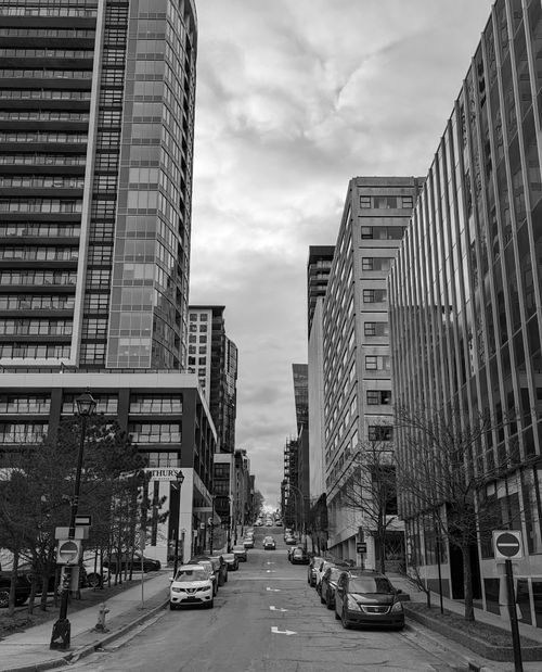Free Black and white photo of downtown Halifax, showcasing high-rise buildings and city street. Stock Photo