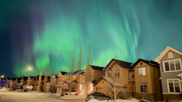 Stunning view of the Northern Lights illuminating snowy houses in Calgary at night.