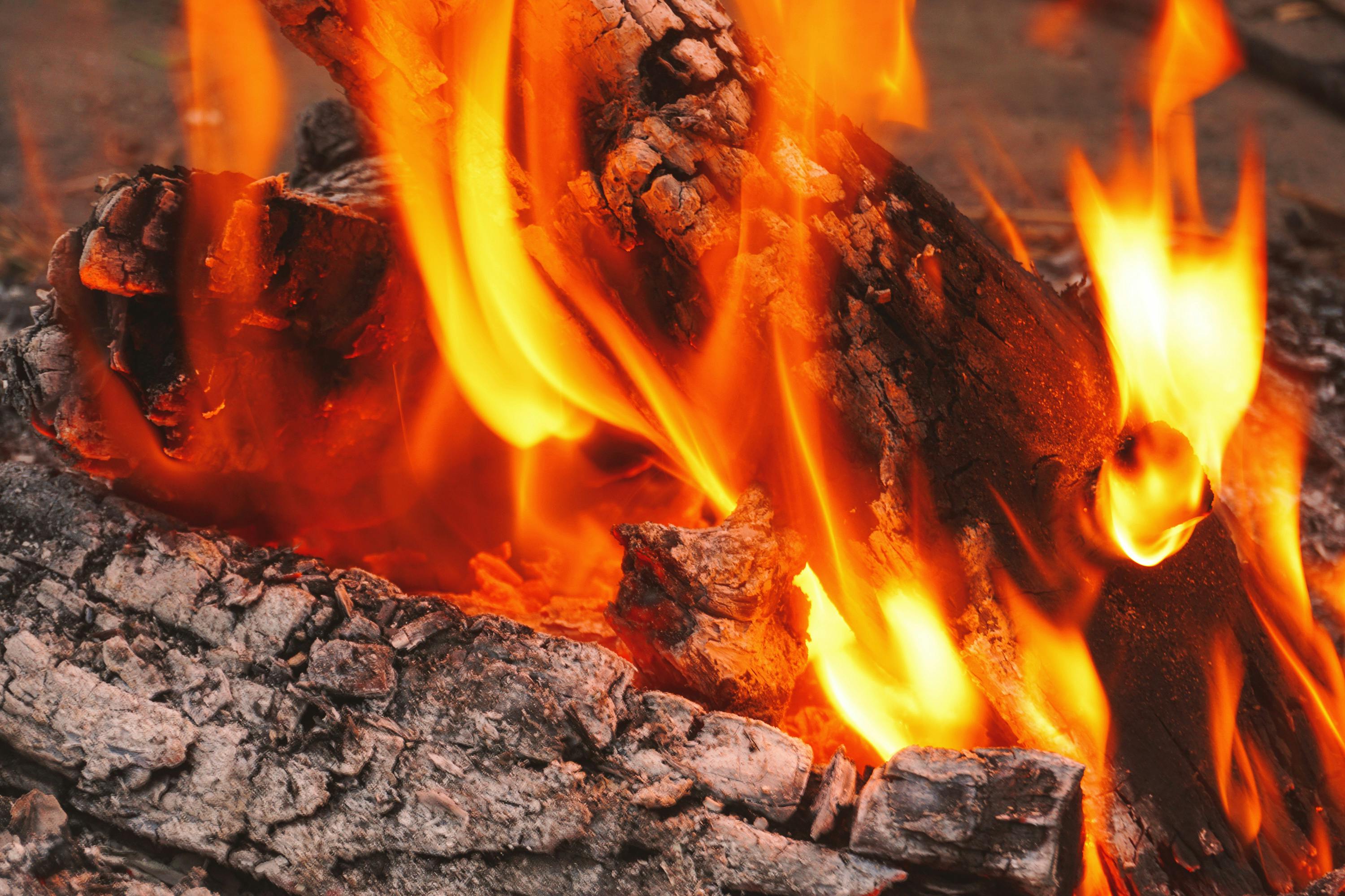 FIRE Explained: Financial Independence, Retire Early – Rules, Types &amp; Planning — Photo by Fandy Much on Pexels