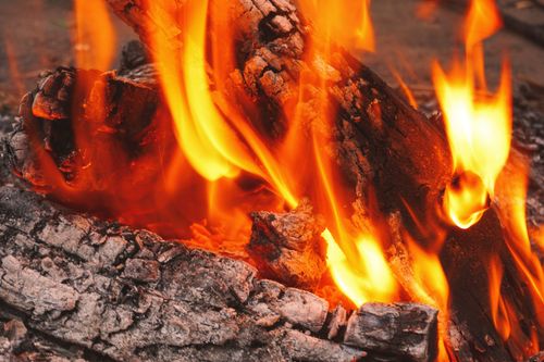 Free Intense close-up of vibrant bonfire flames engulfing logs, creating a warm fiery ambiance. Stock Photo