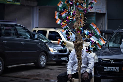 Free stock photo of festival of india, independence day