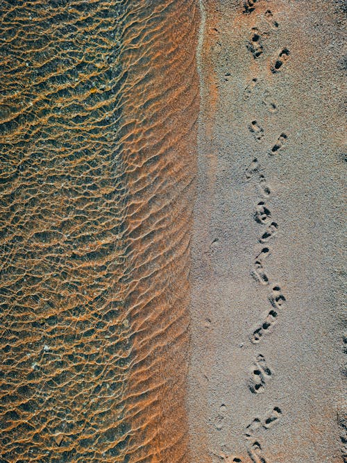 Footprints on Sea Shore