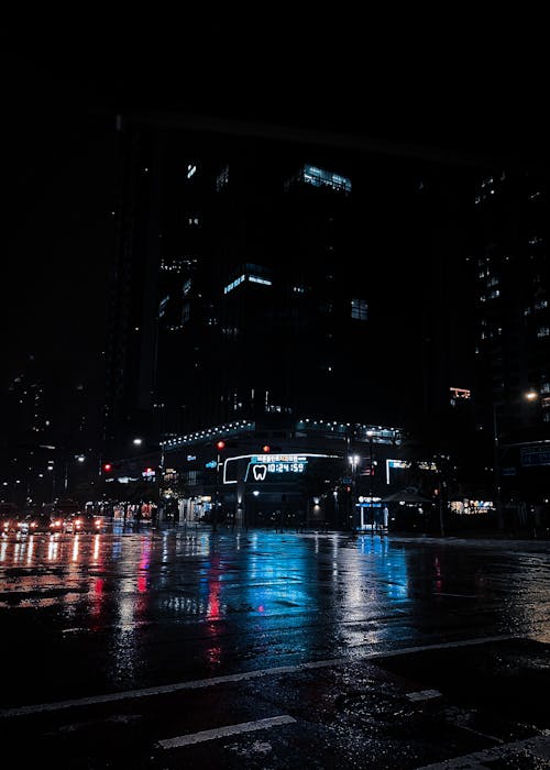 Illuminated Buildings and Car Lights Reflecting in Wet Asphalt in City at Night 