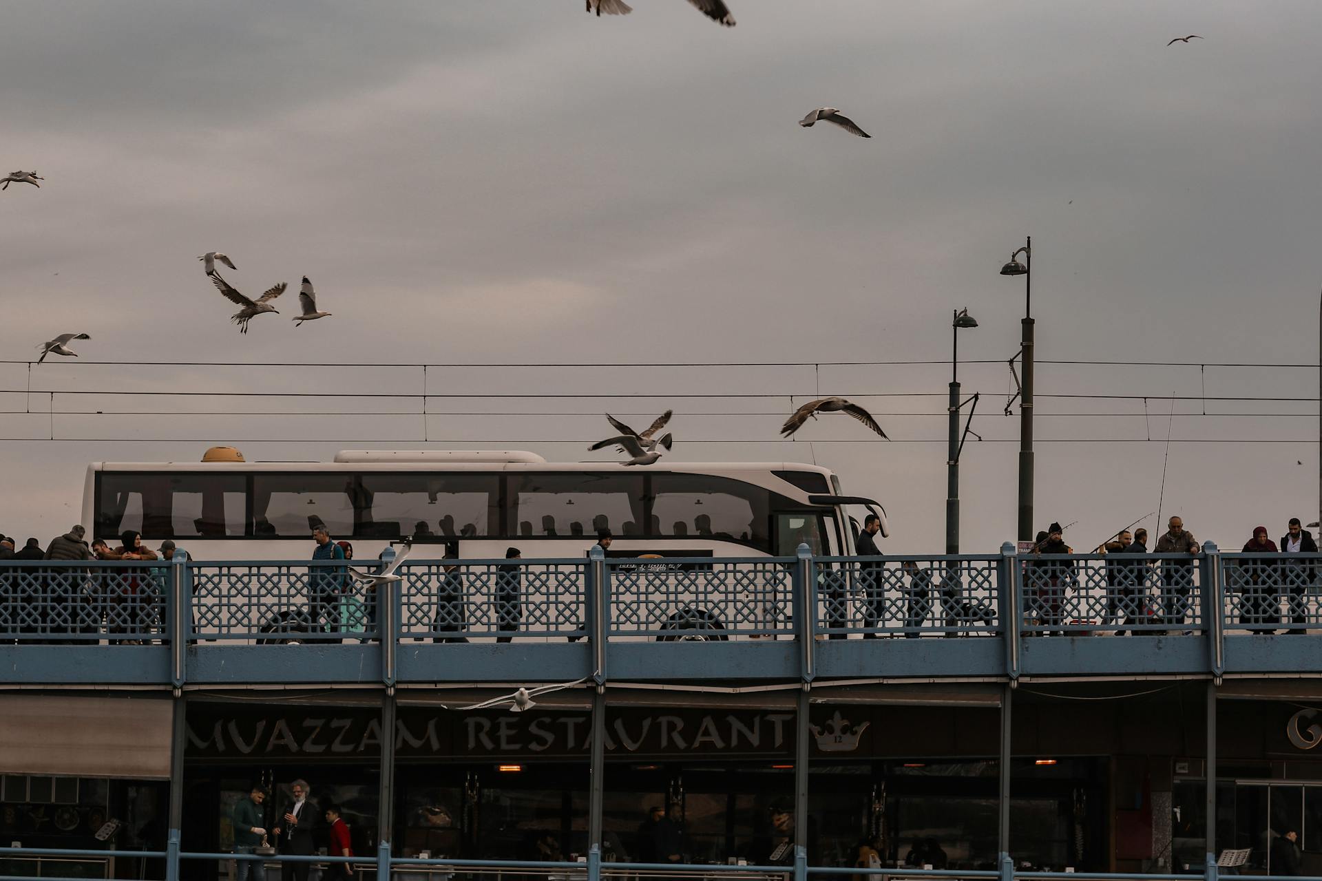 Seagulls soar above Galata Bridge in Istanbul with people and a bus crossing the landmark.
