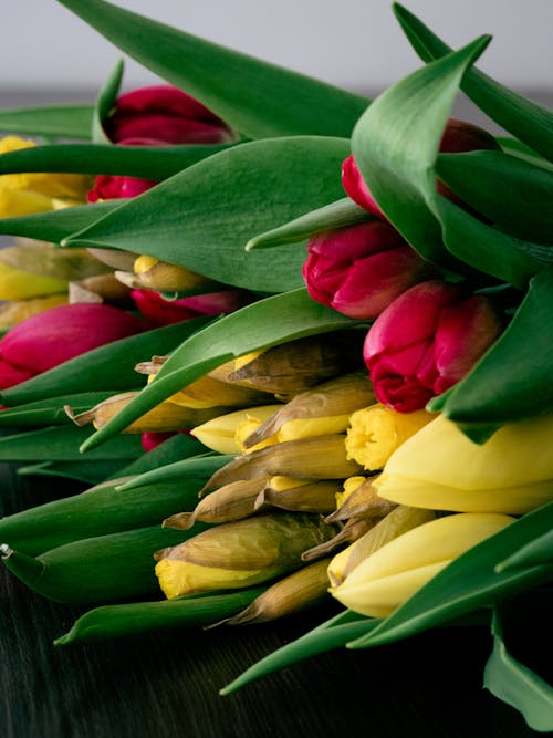 Bouquet of Pink and Yellow Tulips 
