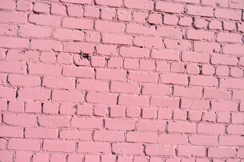 Free stock photo of background, brick, close-up