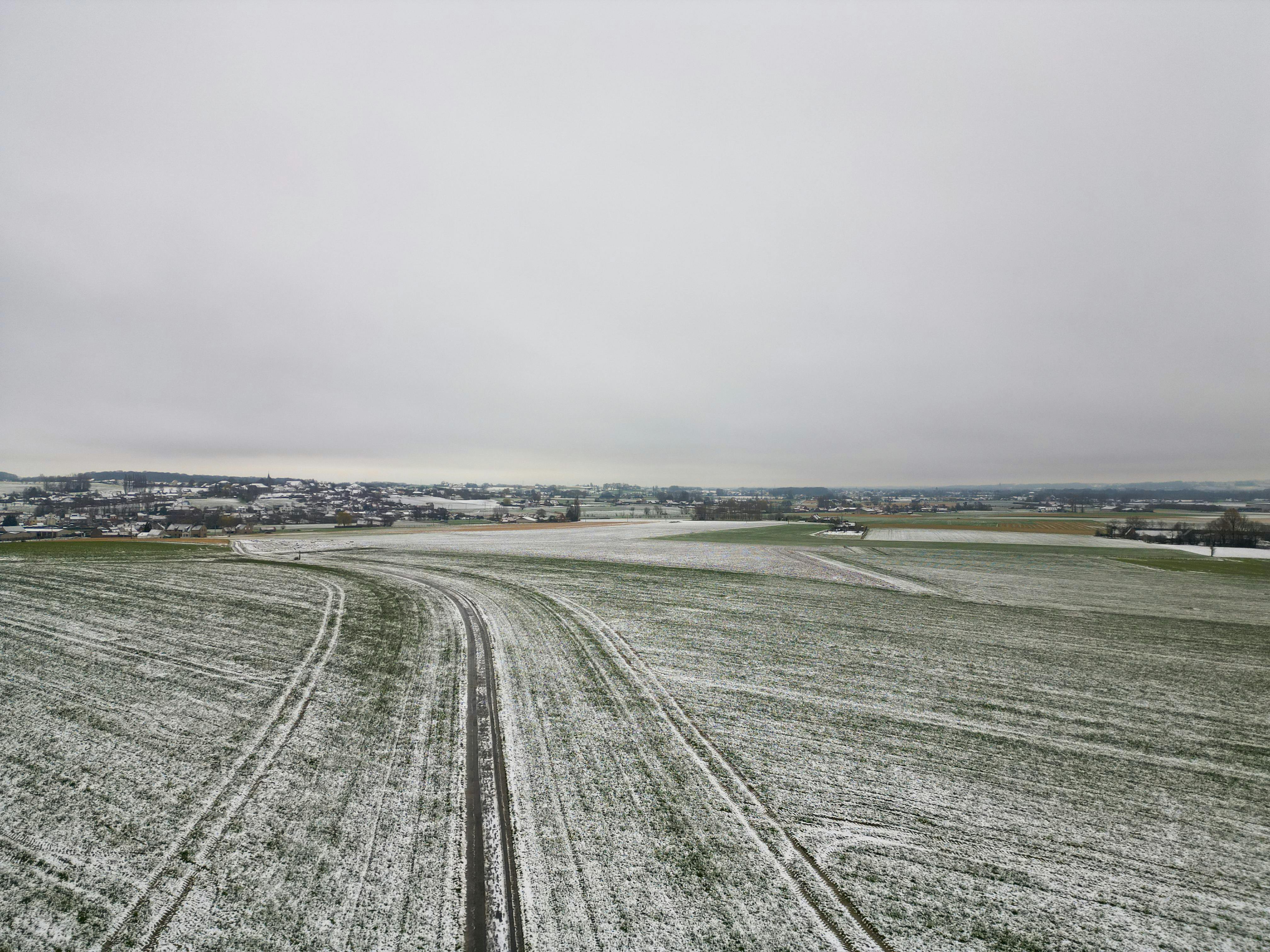 Kas Valge Pühkide ennustamine on võimalik?