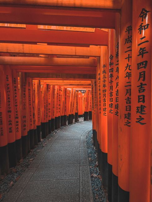 A stunning view of vibrant red torii gates at Fushimi Inari Taisha, Kyoto, Japan showcasing traditional Japanese architecture.