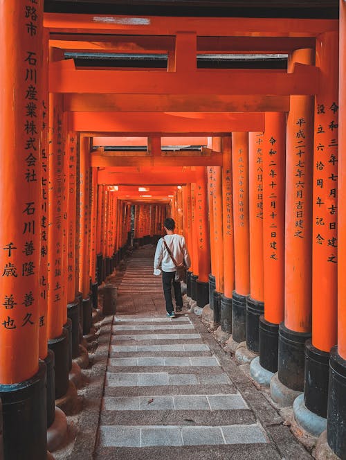 Tourist Walking in Fushimi Inari Taisha Shrine in Japan 