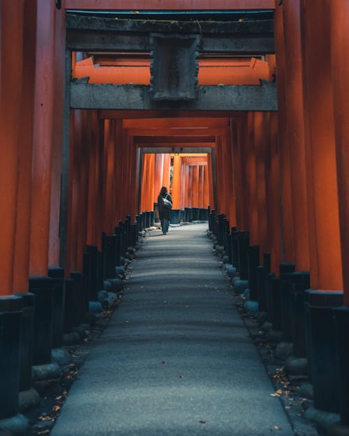 Tourist Walking through Fushimi Inari Taisha in Japan 