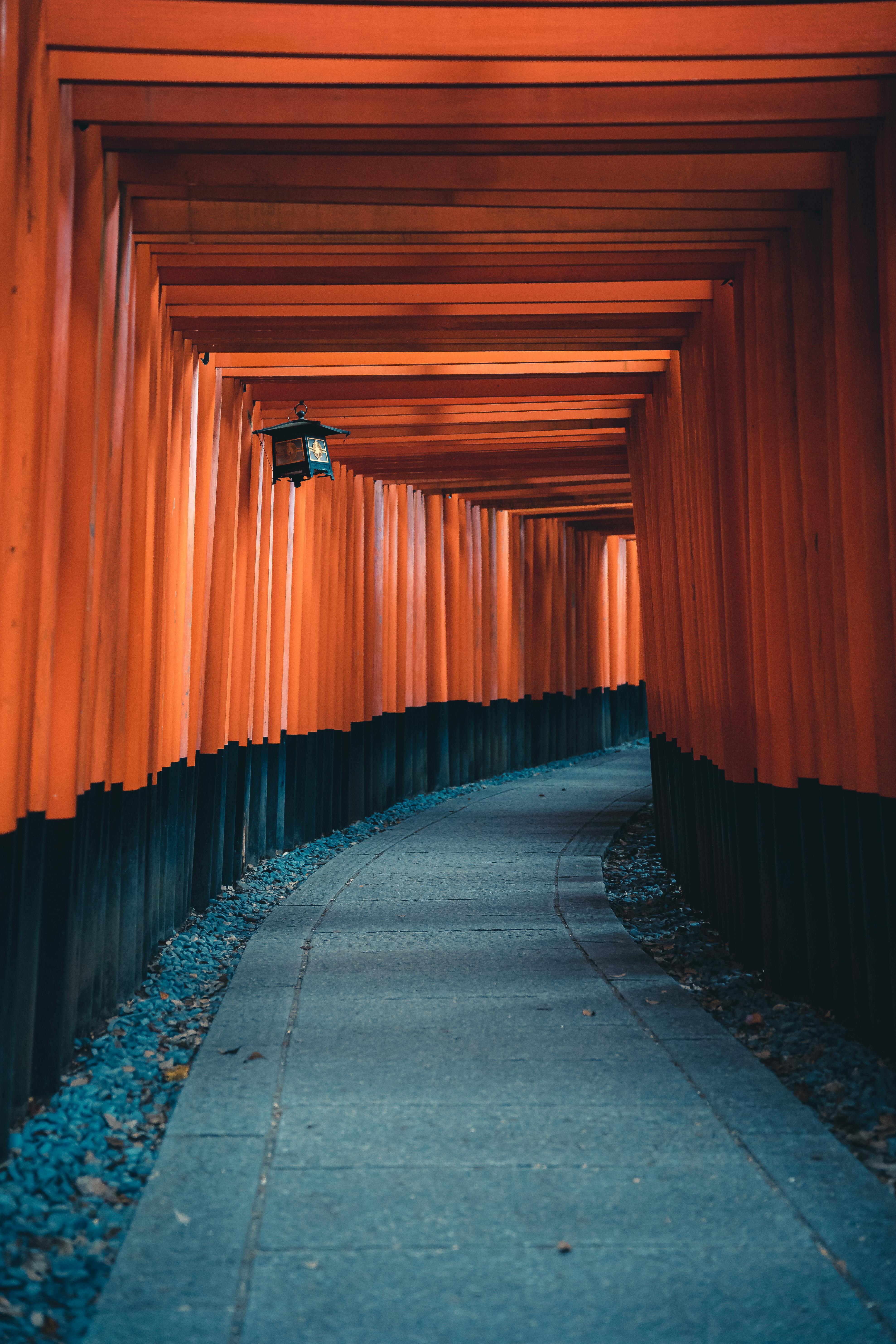 Explore a peaceful walkway framed by traditional red Torii gates, offering a tranquil cultural journey.
