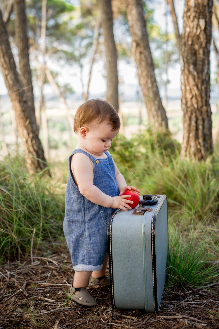 Child And Luggage In Woods