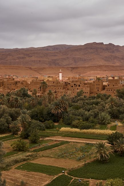 Aerial view of an oasis town with lush greenery and arid mountains in the background.
